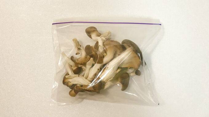 保存袋に入っているキノコ