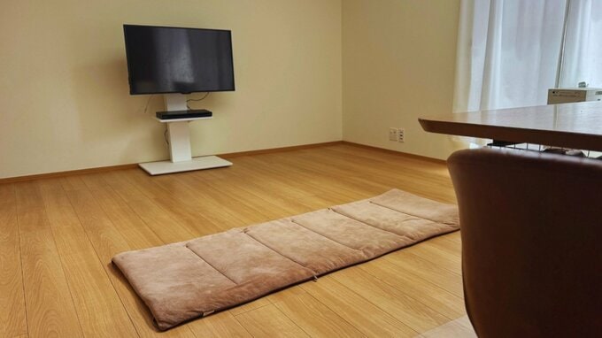 リビングのマット