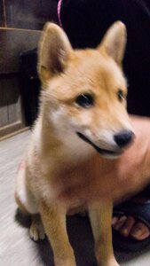 少し不安げに座っている