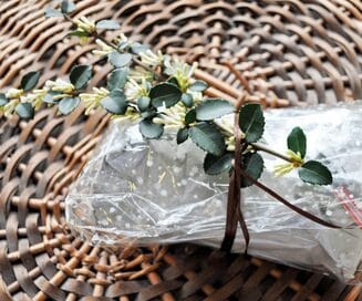 アメリカのボタニカル・ラッピングのサプライズ感がハンパない！インスタ映えも