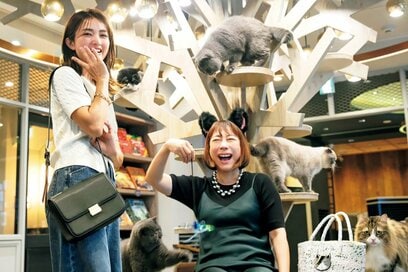 ユニクロ・GU・無印良品でつくる「秋コーデ」2つ。1990円のカーディガンで“きちんと感”を演出！