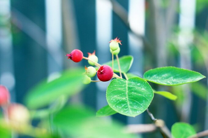 伝えたい雰囲気で光を選びましょう