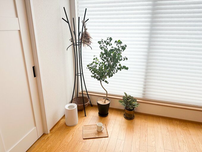 ハンガーと濡れたものを置けるお盆