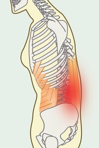 腰痛に効く!体操