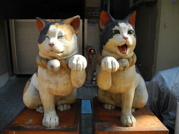 東京・谷中のたわし専門店へ！家事に頼れる＆かわいすぎるアイテムたちに大興奮!!