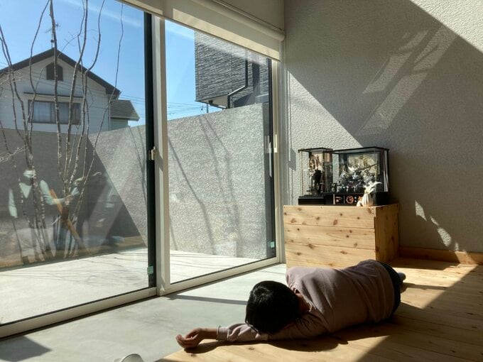 日向ぼっこする様子