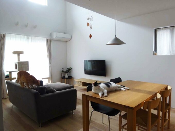 新築当時は掃き出し窓にカーテンを採用