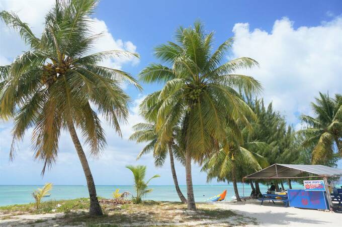 ヤシの木とシーハウス