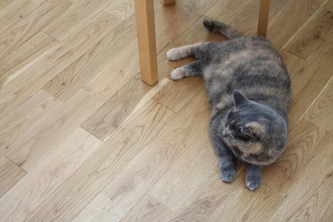 経年劣化も楽しめる床板