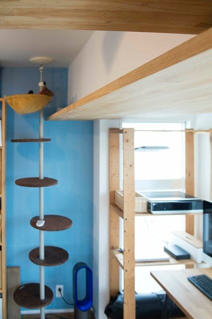 仕事から帰ったら「猫が居た」!? 気ままなロシアンブルーと暮らす家