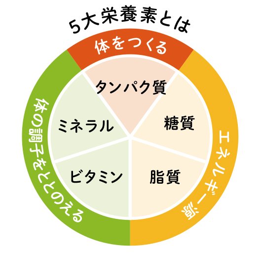 5大栄養素の図
