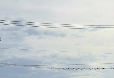 40代の一日を整える「朝時間」アイデア4つ。無理なく続くモーニングルーティン