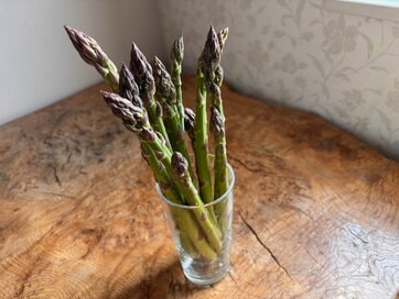 疲労回復・貧血改善に効くアスパラガス。栄養を逃さずおいしく食べるコツと最強レシピ