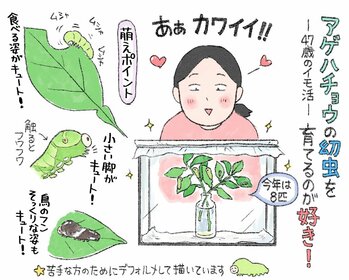 マルサイの惑いっぱなし40代