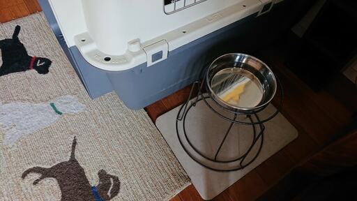 飲み水台は100均の植木鉢台を使用。下には珪藻土マットを