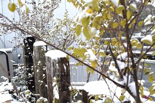 枕木を使ったシンプルな外構