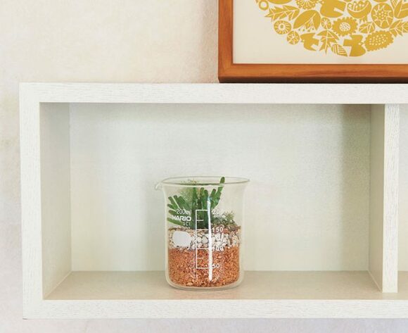 植木鉢は透け感のあるガラスビーカーにスイッチ
