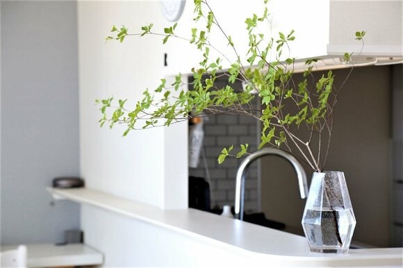 カウンターの上