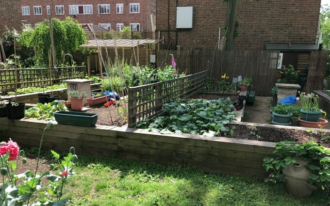 ロンドンのコミュニティ農園