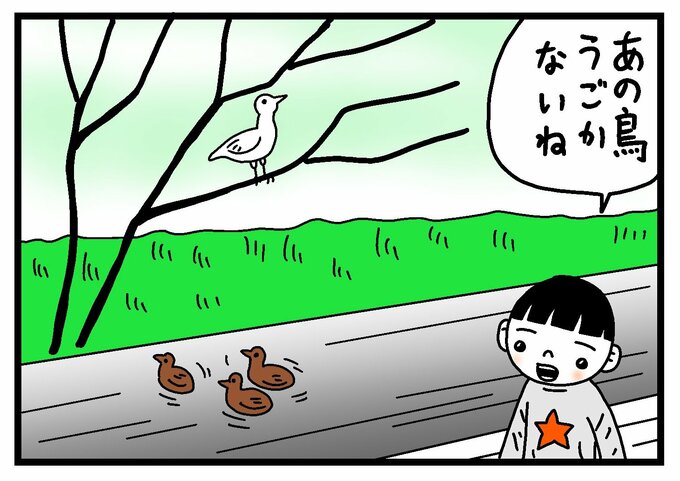 木にとまった白い鳥を見るうーちゃん