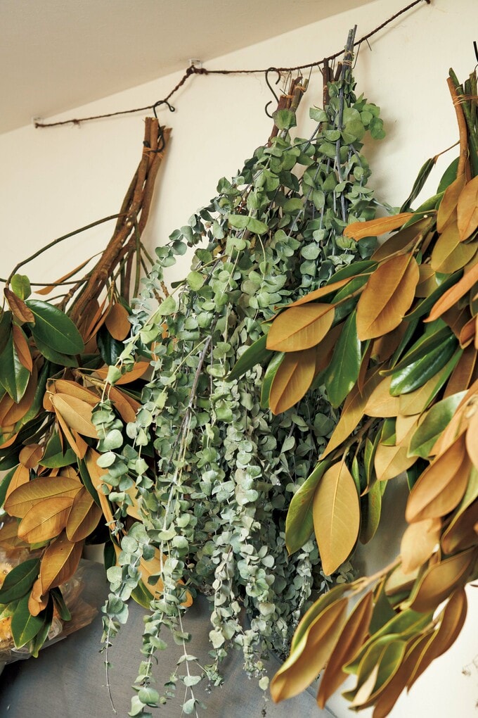 ユーカリとタイサンボク