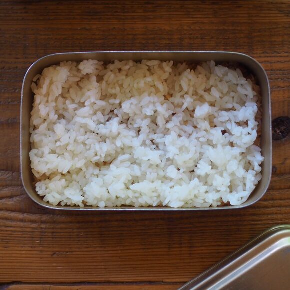 薄くご飯を敷きます。