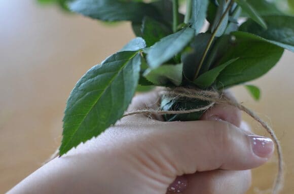 葉っぱごと麻ひもでぎゅっと縛ること。