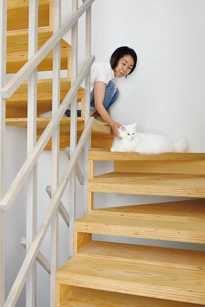 階段も高所を好むネコたちの居場所