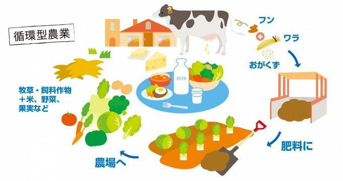 生乳の生産だけでなく酪農にはさまざまな役割が