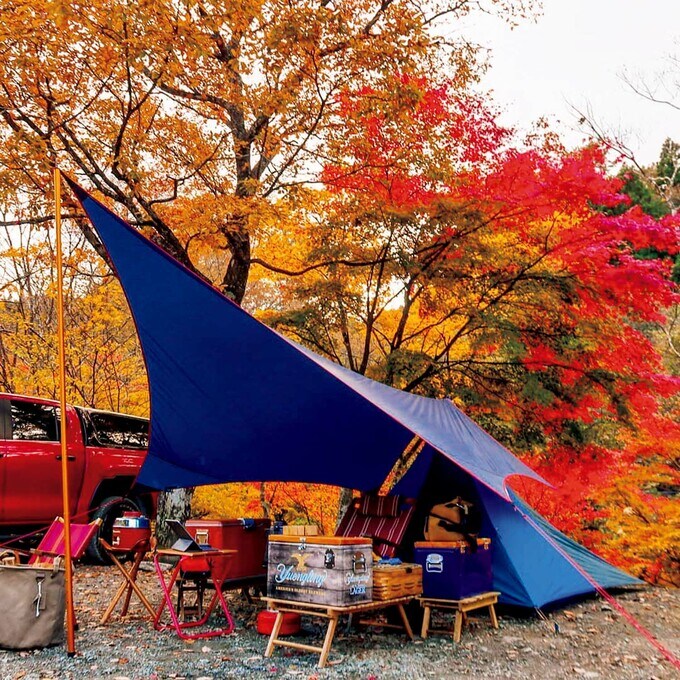 真っ赤な紅葉をバックに青いテントを張っている写真