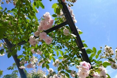 「80代の高齢親と外出」を楽しむコツ。半日で帰ってこられる場所がいい／50代ひとり暮らし