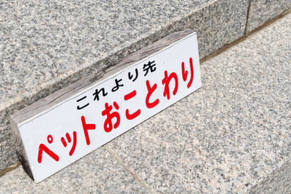 ペット禁止の管理規約があるマンション。隠れて飼っているのがバレたらどうなる？