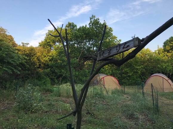 地域の特色を生かしたキャンプ