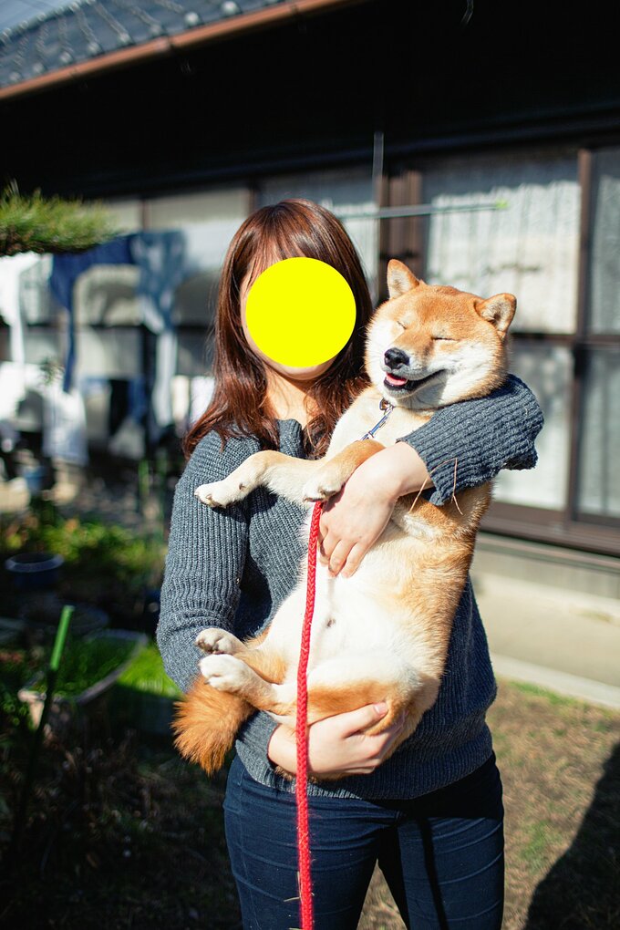 2015年1月24日の犬