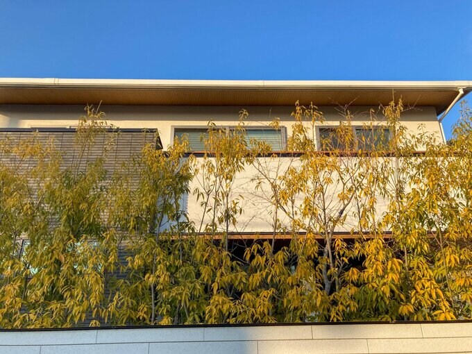 花粉が気になる環境