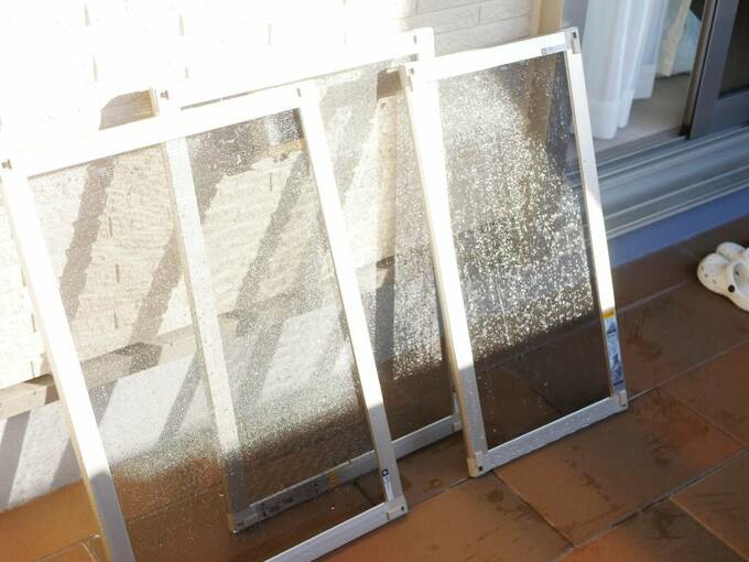 天日干しをして乾燥