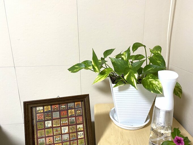 グリーンと相性がいいエコカラット