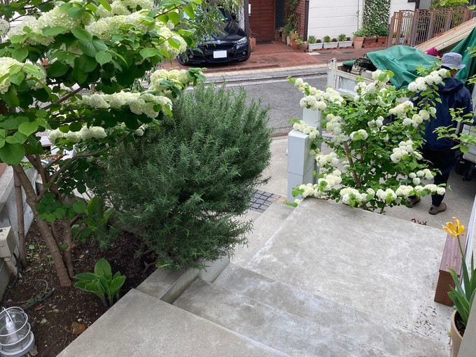 アプローチの見下ろし