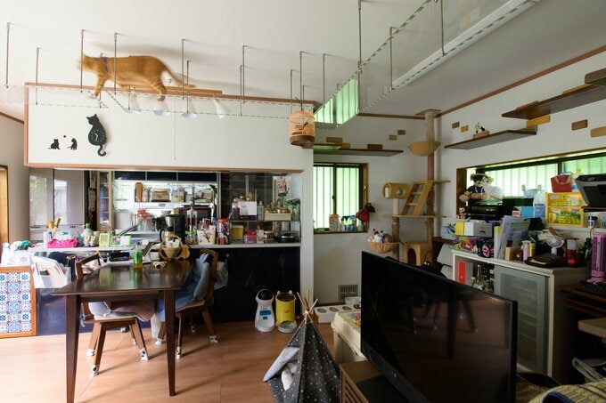 岡本さん宅のリビング