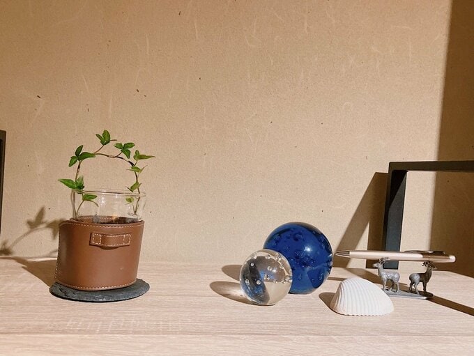 カットしたみどり