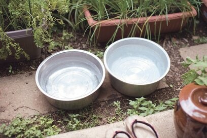 電気代は500円、水道代は基本料金のみ。祖母ゆずりのエコな知恵の暮らし