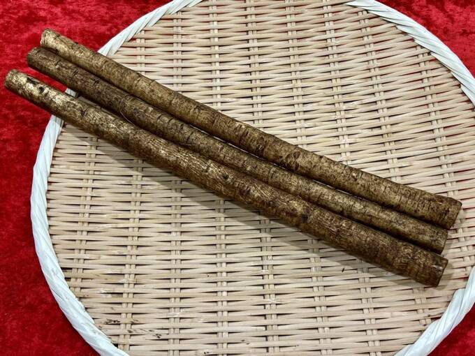 茶色ゴボウ