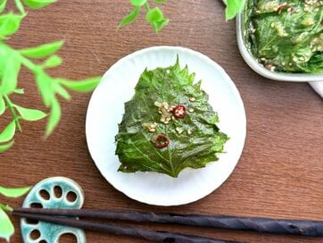 夏バテでもご飯が止まらなくなる「青ジソのやみつき漬け」レシピ。ニンニクの風味が最高