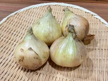 新タマネギのおいしさの秘密。水と塩だけで絶品ポタージュに