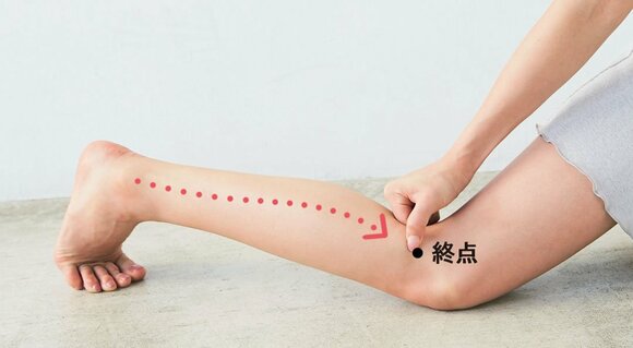 アキレス腱(始点)からひざ裏(終点)まで