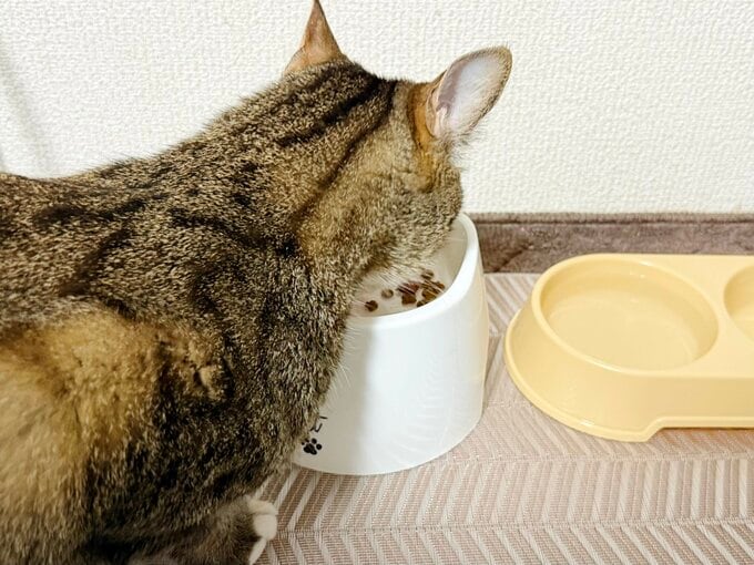フチが高くなっている設計