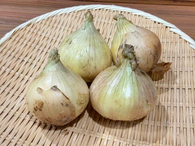 新タマネギ4つ