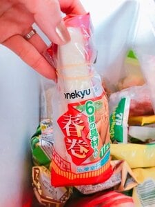 春巻きも縦に2本並べて