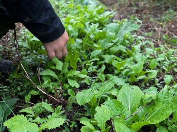 現代人に必要なのは「スマホを手放す」時間。高橋久美子さんが語る、自然と触れ合う効果