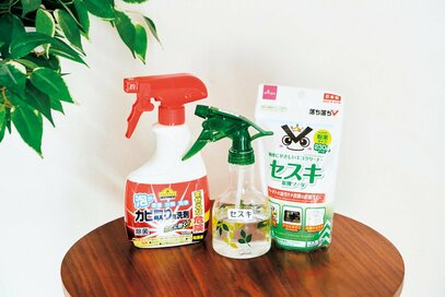 食費2万円台・年間貯蓄280万円の「貯めルーティン」。止水栓を閉めて水道代カット